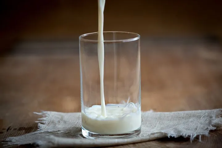 Ольга Абрамова: Себестоимость молока в Удмуртии выросла на 18% 