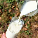 Удмуртия по итогам 2021 года ожидает нарастить объемы производства молока до 910 тыс. тонн - Минсельхоз