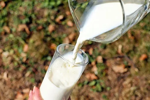 Удмуртия по итогам 2021 года ожидает нарастить объемы производства молока до 910 тыс. тонн - Минсельхоз 