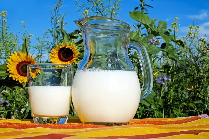 За январь-ноябрь 2021 года производство молока в Удмуртии достигло 850,3 тыс. тонн – Минсельхоз 
