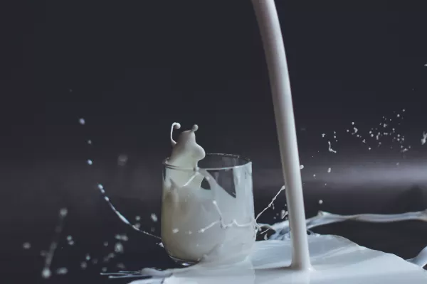 Удмуртия заняла 8 место по экспорту молока в России